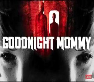 Goodnight Mommy Explained In Hindi By DeshJagat