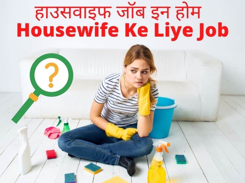 Best Jobs for Housewife & Housewife Ke Liye Job, बेस्ट हाउसवाइफ जॉब इन होम